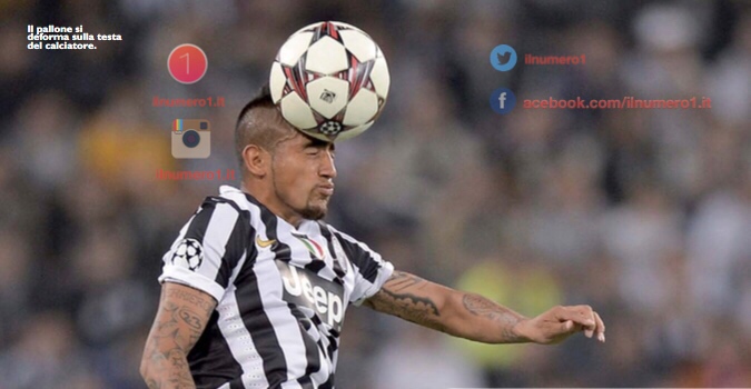 Scudo, Vidal